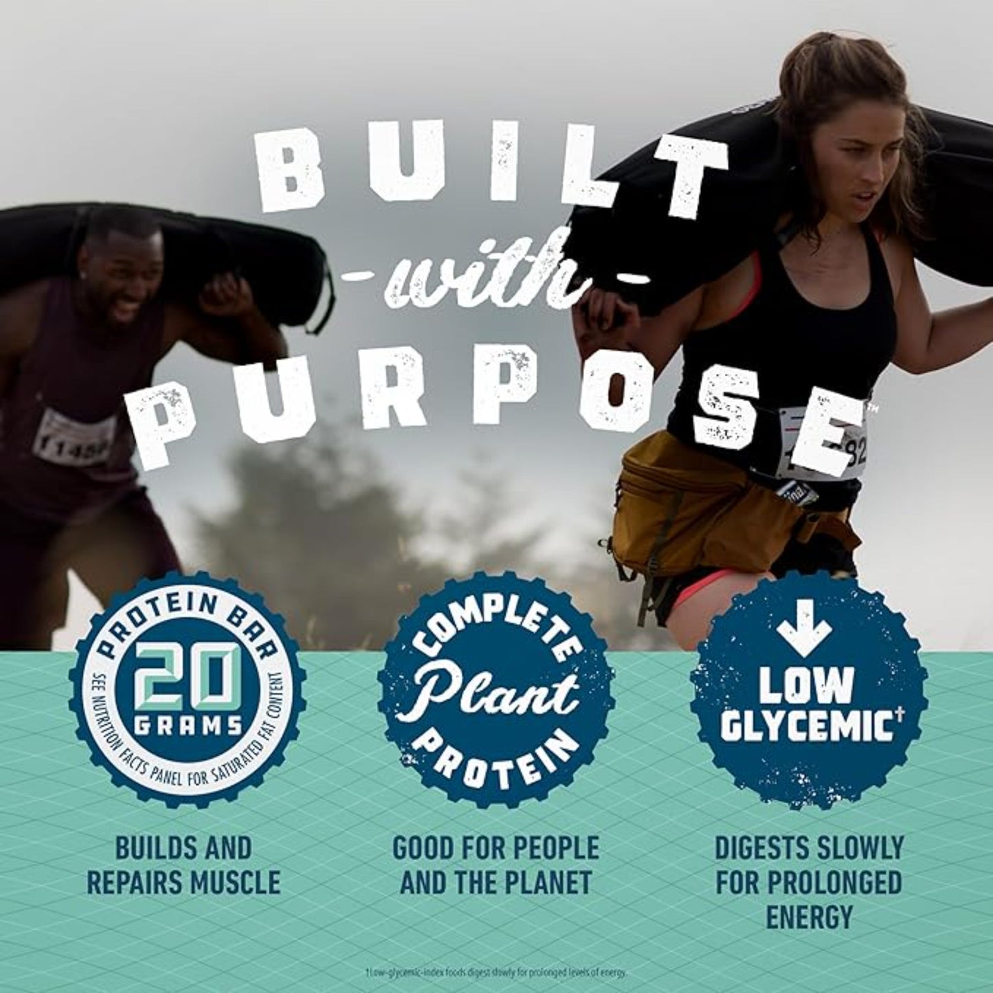 CLIF BUILDERS Protein Bars - Chocolate Mint Flavor - 20g Plant Based Protein - Gluten Free - Non-GMO - Low Glycemic - No Artificial Sweeteners - Value Pack, 2.4 oz. (12 Count)